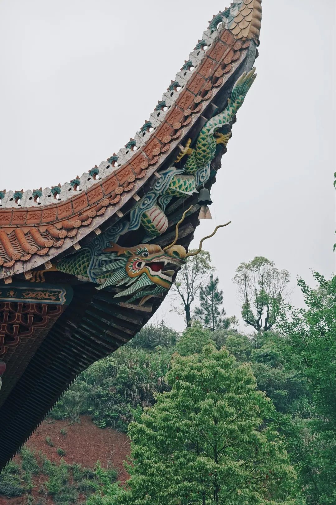 DƬ